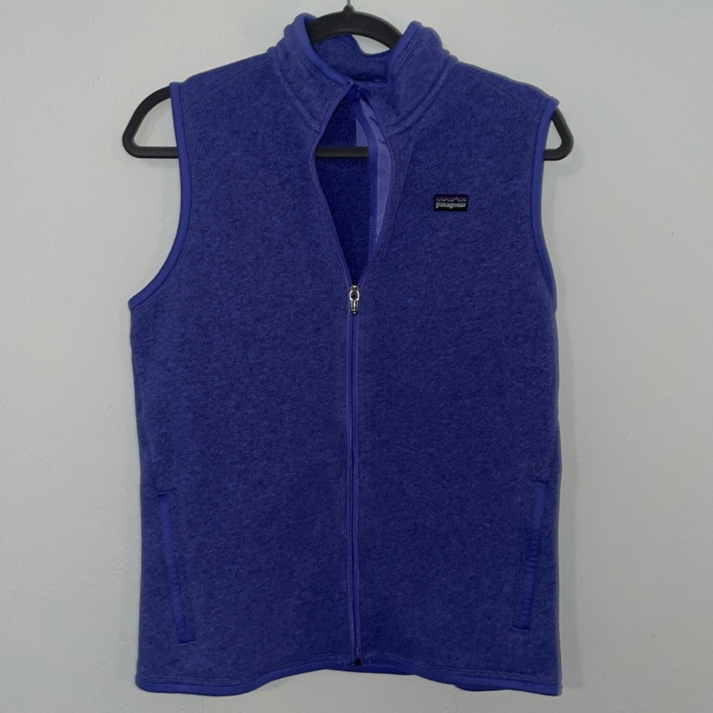 Purple Large Patagonia Fleece Vest